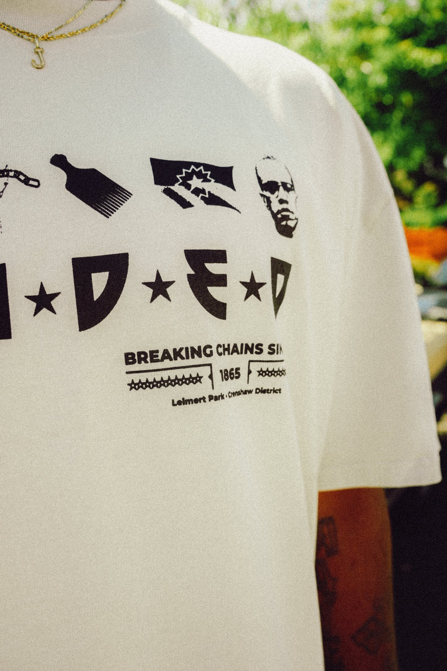 FL Breaking Chains Tee (Faded Bone)